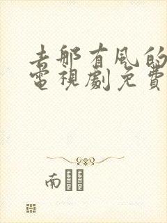 去那有风的地方电视剧免费观看