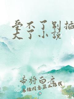 受不了别插了太大了小说