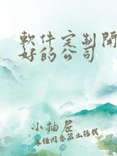 软件定制开发较好的公司