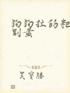狗狗拉的粑粑特别黄