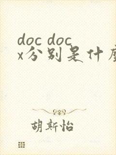 doc docx分别是什么文件