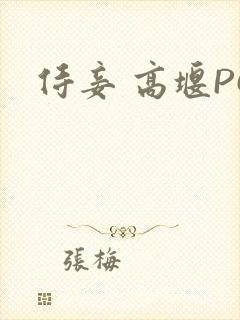 侍妾 高堰PO