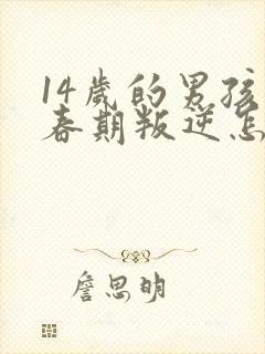 14岁的男孩青春期叛逆怎么办