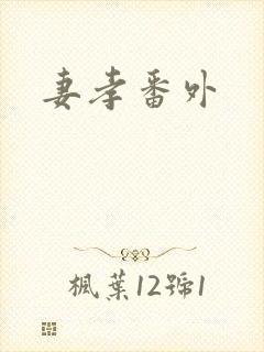 妻孝番外