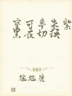 宝可梦朱紫白天黑夜切换