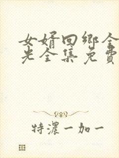 女婿回乡全村风光全集免费
