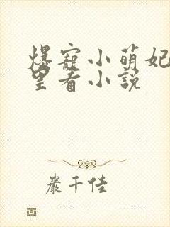 爆宠小萌妃在哪里看小说