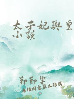 太子妃与皇上的小说