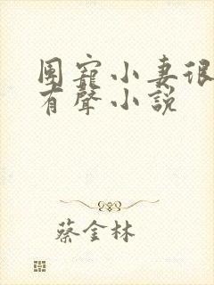 团宠小妻很撩人有声小说