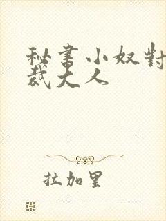 秘书小奴对抗总裁大人
