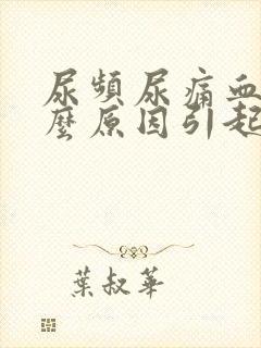 尿频尿痛血尿什么原因引起的