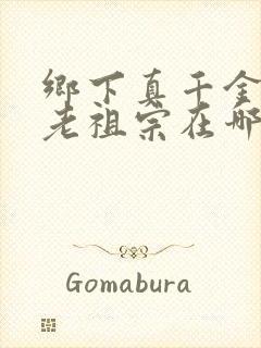 乡下真千金竟是老祖宗在哪看