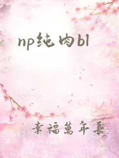 np纯肉bl
