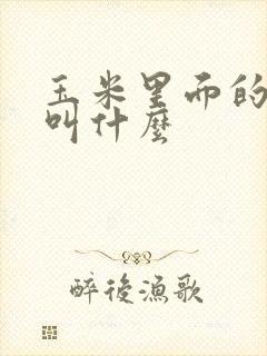 玉米里面的棒子叫什么