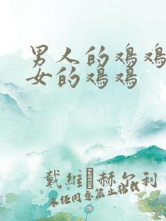 男人的鸡鸡捅美女的鸡鸡