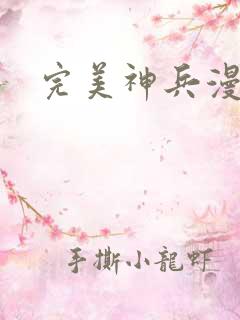 完美神兵漫画
