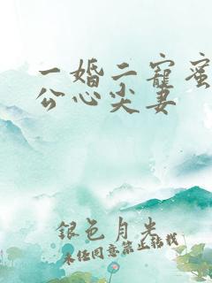 一婚二宠蜜制老公心尖妻
