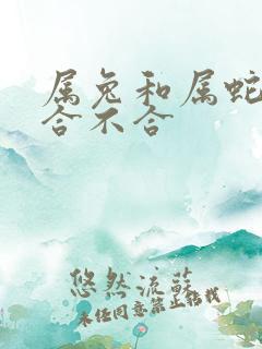 属兔和属蛇属相合不合
