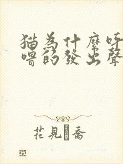 猫为什么呼噜呼噜的发出声音?