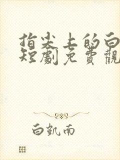指尖上的白月光短剧免费观看