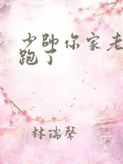 少帅你家老婆又跑了