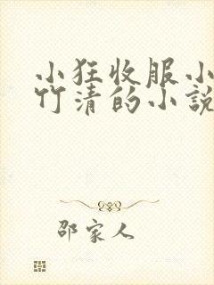 小狂收服小舞朱竹清的小说