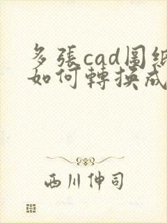 多张cad图纸如何转换成一个pdf文件