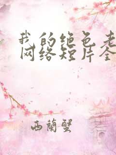 我的绝色老板娘网络短片全集