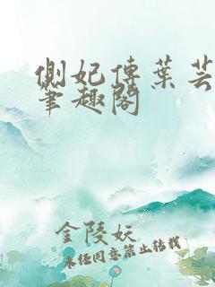 侧妃传叶芸晋王笔趣阁