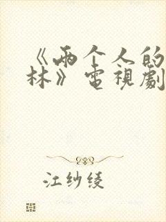 《两个人的小森林》电视剧免费观看