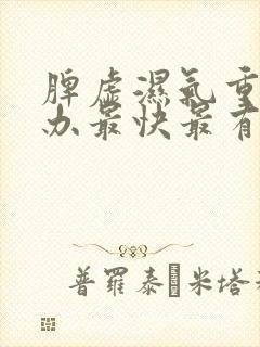 脾虚湿气重怎么办最快最有效