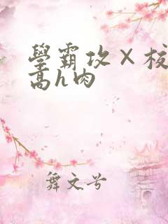 学霸攻×校霸受高h肉