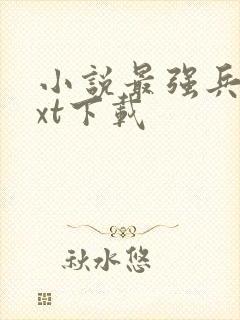 小说最强兵王txt下载