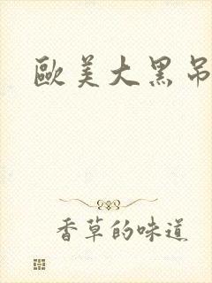 欧美大黑吊操比