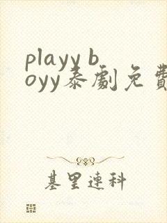 playy boyy泰剧免费观看
