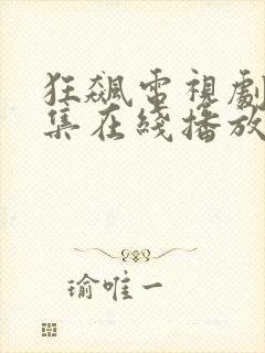 狂飙电视剧40集在线播放免费观看