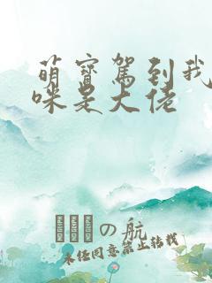 萌宝驾到我的妈咪是大佬