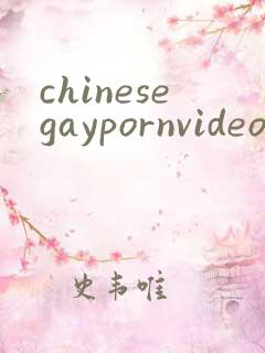 chinesegaypornvideo