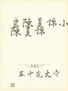 良陈美锦小说良陈美锦
