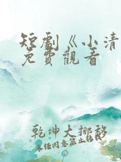 短剧《小清欢》免费观看