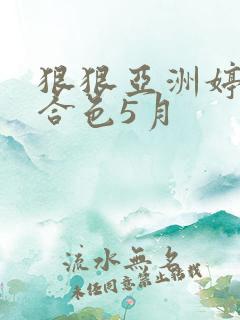 狠狠亚洲婷婷综合色5月