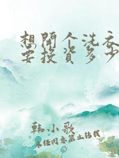 想开个洗衣店需要投资多少