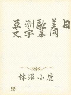 亚洲欧美日韩中文字幕网
