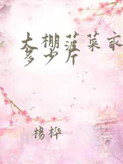 大棚菠菜亩产量多少斤