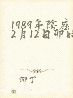 1989年阴历2月12日卯时出生的五行八字
