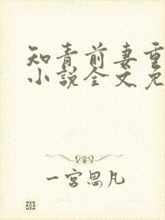 知青前妻重生了小说全文免费阅读