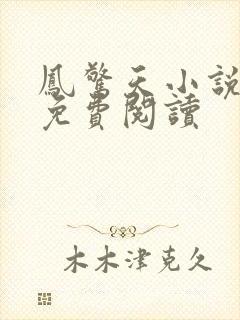 凤惊天小说全文免费阅读