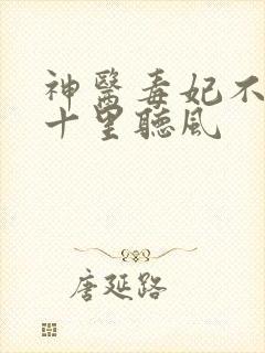 神医毒妃不好惹十里听风