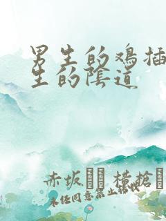 男生的鸡插进女生的阴道