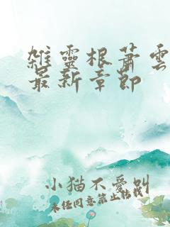 杂灵根萧云小说最新章节